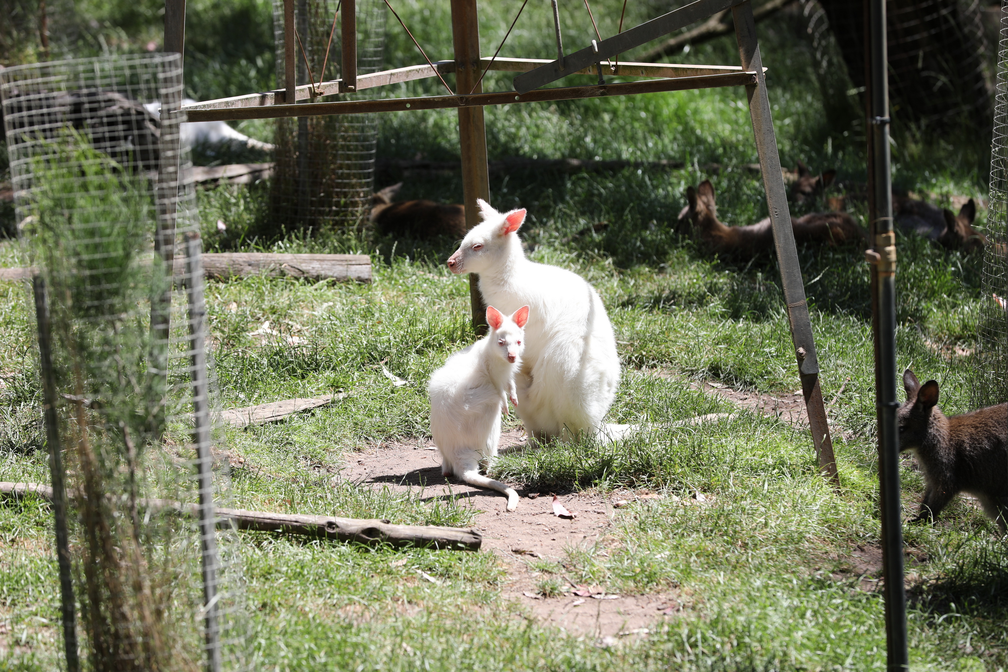 2019 11 22 14 41 17 Canon EOS 5D Mark IV 0016